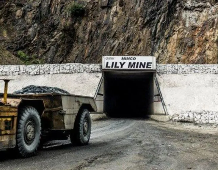 Workers in disagreement with Amcu over Lily Mine amended business rescue plan